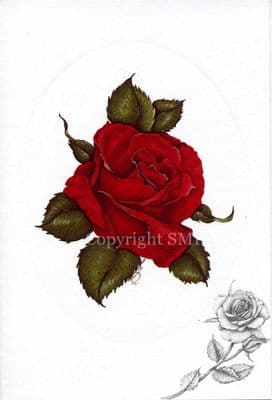 Rose Blank Greetings Card 'Single Rose' CE32