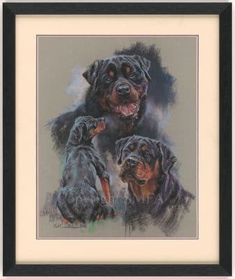 Rottweiler II' Original Pastel by Mick Cawston