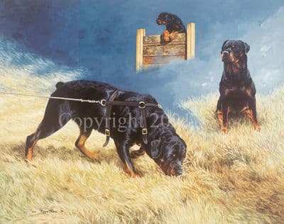 Rottweiler Limited Edition Print 'All in a Day's Work' by Pippa Thew