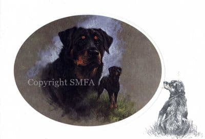 Rottweilers Blank Greetings Card by Mick Cawston CE20