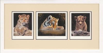 Sale Item - 'The Cub Scouts by Pip McGarry