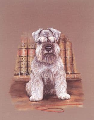 Schnauzer Limited Edition Print 'The Librarian' by Linda Raw