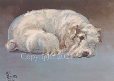 Sealyham Terrier Limited Edition Print 'Sealyham Terrier' by Malcolm Coward