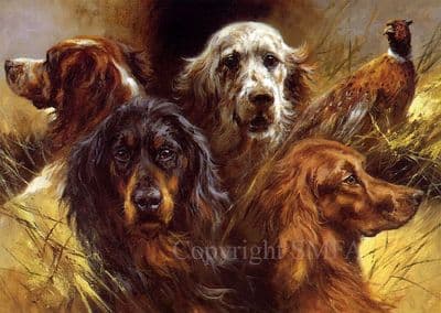 Setters, Irish Gordon and English Setter Blank Greetings Card by Mick Cawston C76