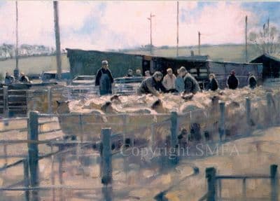 Sheep Blank Greetings Card 'The Market' by Colin Allbrook C212
