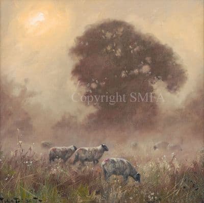 Sheep Limited Edition Canvas Print 'In the Pasture' by John Trickett TRIC-49