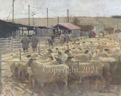 Sheep Limited Edition Print The Sheep Market by Colin Allbrook