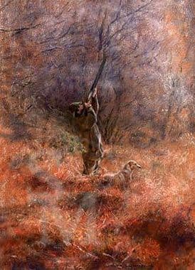 Shooting Limited Edition Print 'Over!' by Debbie Gillingham