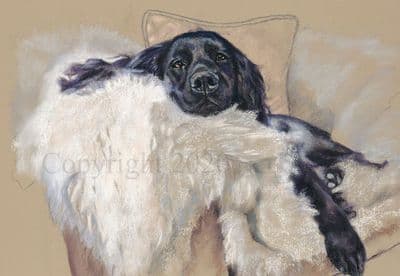 Siesta' Cocker Spaniel Greetings card by Debbie Gillingham C632