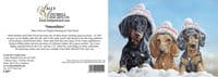 Smoothies' Pack of 10 Smooth Haired Dachshund Christmas Cards by Paul Doyle