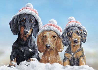 Smoothies' Pack of 10 Smooth Haired Dachshund Christmas Cards by Paul Doyle