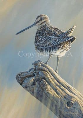 Snipe Limited Edition Print 