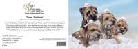 Snow Business' Border Terrier Christmas Cards by Paul Doyle C715x