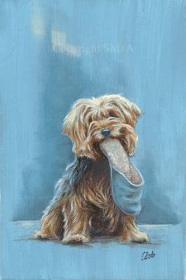 SOLD 'A Slip of The Tongue' Original Yorkshire Terrier Painting by Paul Doyle