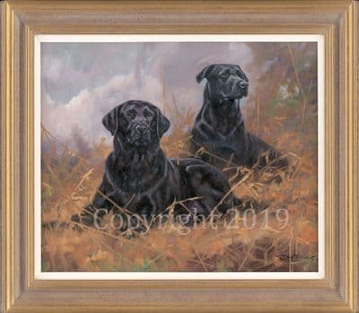 SOLD Black Labrador Original Oil Painting 'Taking a Break' by John Trickett