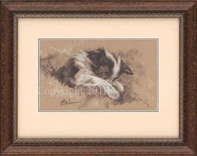 SOLD Border Collie Puppy Original Drawing 'I am Shy' by Paul Doyle G2056