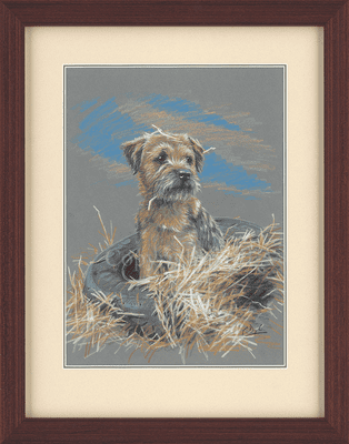 SOLD Border Terrier Original Drawing 'A Tyring Day'  by Paul Doyle G2082