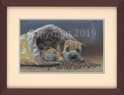 SOLD Border Terrier Original Painting 'Bed and Breakfast' by Paul Doyle
