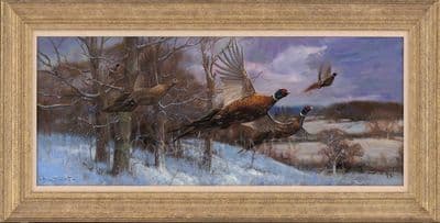 SOLD Breaking Cover' Original Pheasant Painting by John Trickett