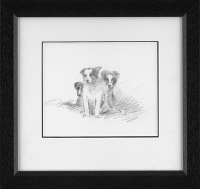 SOLD 'Collie Pups' Original Pencil Sketch by Mick Cawston