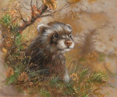 SOLD 'Ferreting About' Original painting by Paul Doyle