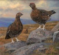 SOLD 'Grouse' Original Oil Painting by John Trickett