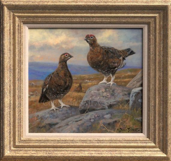 SOLD 'Grouse' Original Oil Painting by John Trickett