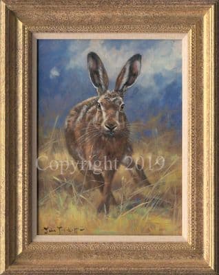 SOLD Hare Original Oil Painting  'A Step to The Right' by John Trickett