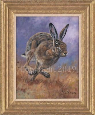 SOLD Hare  Original Oil Painting 'Belting Along ' by John Trickett