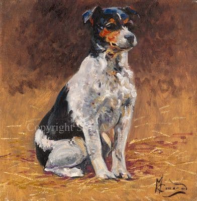 SOLD Jack Russell Original Oil Painting 'Attentive' by Malcolm Coward
