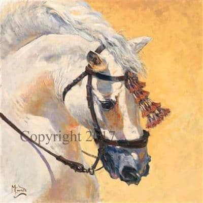 SOLD Original Oil on Canvas 'The Andalusian' by Malcolm Coward