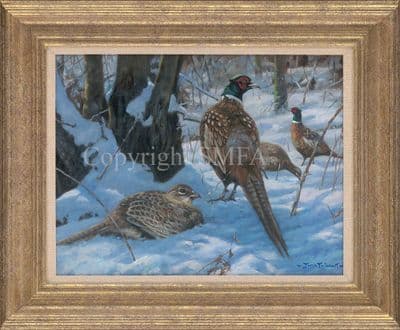 SOLD Pheasant Glade Original Game Bird Painting by John Trickett