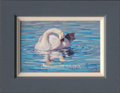 SOLD 'Preening' Original Swan Oil Painting by Malcolm Coward