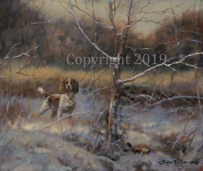 SOLD Springer Spaniel Original Oil Painting 'Beating' by John Trickett