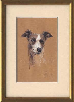 SOLD 'Whippet' Original Watercolour by Malcolm Coward