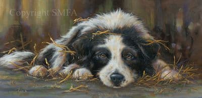 SOLD 'Worn Out' Original Border Collie Painting by Paul Doyle
