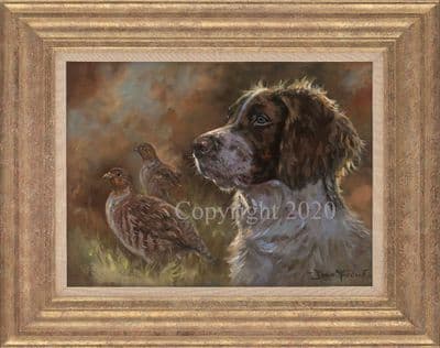 Spaniel Original Oil Painting 'Working Springer' by John Trickett