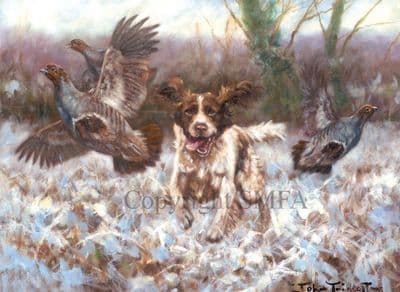 Springer Flushing Partridge Christmas Cards 'Charge' by John Trickett C430X