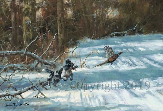 Springer Flushing Pheasant Christmas Cards 'A Grand Dog' by John Trickett C600X