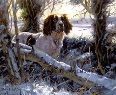 Springer Spaniel Blank Greeting Card  'Winter's Morning' by John Trickett C255