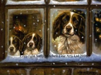 Springer Spaniel Blank Greetings Card 'Christmas Eve' by John Trickett C182