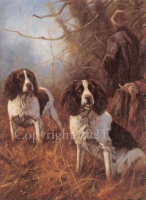 Springer Spaniel Blank Greetings Card 'Springers At Work' by John Trickett B98