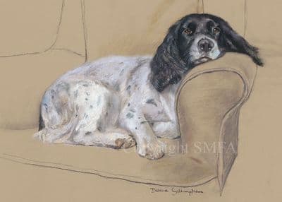Springer Spaniel Blank Greetings Card 'Sunday Afternoon' by Debbie Gillingham C679