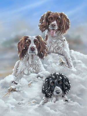 Springer Spaniel Blank Greetings Card' The Mountaineers' by Paul Doyle