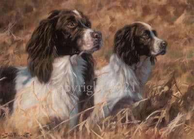 Springer Spaniel Blank Greetings Card 'The Partnership' by John Trickett C237