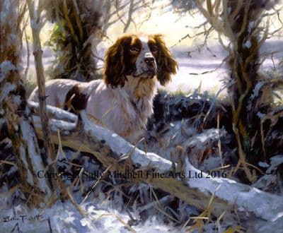 Springer Spaniel Christmas Cards 'Winter's Morning' by John Trickett C255X