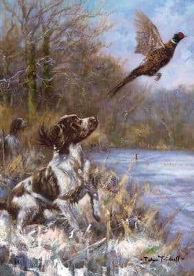 Springer Spaniel Flushing Pheasant Christmas Card 'Flushing in the Snow' by John Trickett C413x