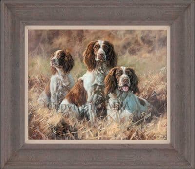 Springer Spaniel Limited Edition Canvas Print 'The Calm Before the Storm' by John Trickett
