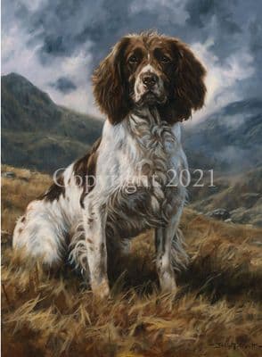 Springer Spaniel Limited Edition Print 'A Great Dog' by John Trickett