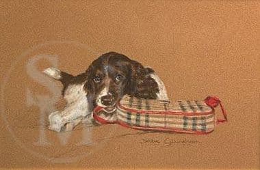 Springer Spaniel Limited Edition Print 'Bag Lady' by Debbie Gillingham